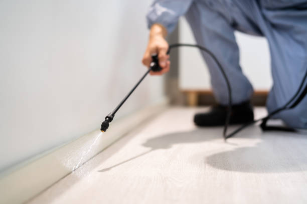 Certified termite inspector examining foundation in Fox Lake Hills