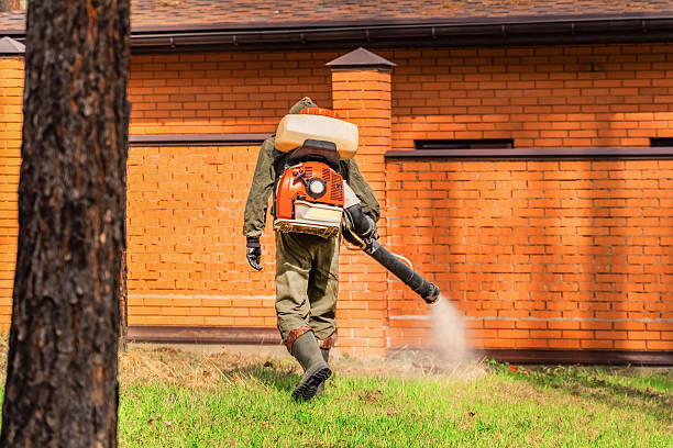Top rated local Mosquito Control specialists in Fox Lake Hills, IL